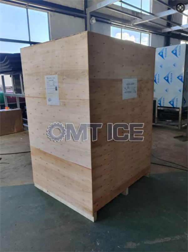OMT 1Ton Single Phase Tube Ice Machine shipped to Philippines-7